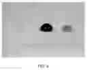 Fig. 04 - Treatment of Folded Articles