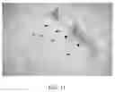Fig. 06 - Treatment of Folded Articles