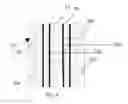 Fig. 09 - HARNESS FOR MOUNTING LARGE SHEETS OF MATERIAL ON BOX-LIKE BODIES