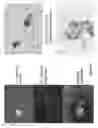 Fig. 07 - Compositions and methods for promoting fatty acid production in plants