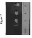 Fig. 09 - Compositions and methods for promoting fatty acid production in plants