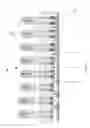 Fig. 07 - PACKAGING FOR PHARMACEUTICAL PRODUCTS AND METHOD AND DEVICE FOR ITS PRODUCTION