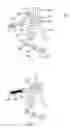 Fig. 03 - Microfluidic structure and method of measurement and/or positioning of a volume of a liquid