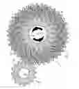 Fig. 01 - Torque-handling gear with teeth mounted on flexible arms