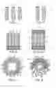 Fig. 03 - Torque-handling gear with teeth mounted on flexible arms