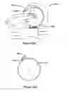 Fig. 59 - Power tool safety mechanisms