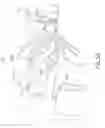 Fig. 07 - Trigger and hammer for automatic and semi-automatic rifles