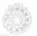 Fig. 01 - Floating type brake disc