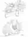 Fig. 05 - Dual clutch
