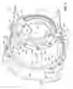 Fig. 04 - Non-rotating clutch and method of installing same