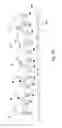 Fig. 06 - METHOD FOR COATING A SUBSTRATE AND COATER