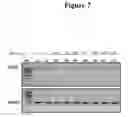 Fig. 08 - Oligonucleotide compositions and methods for treating disease including inflammatory conditions