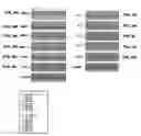 Fig. 09 - Oligonucleotide compositions and methods for treating disease including inflammatory conditions