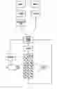 Fig. 01 - METHOD FOR SORTING RESISTANT SEED FROM A MIXTURE WITH SUSCEPTIBLE SEED