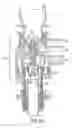 Fig. 09 - Fluid product dispenser with shunting chamber and governing device
