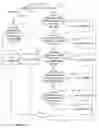 Fig. 12 - METHODS FOR DETECTING FLUORESCENT SIGNALS IN A BIOLOGICAL SAMPLE