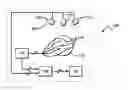 Fig. 01 - Object tracking system having at least one angle-of-arrival sensor which detects at least one linear pattern on a focal plane array