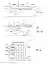 Fig. 04 - Signal noise reduction for imaging in biological analysis