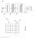 Fig. 07 - Signal noise reduction for imaging in biological analysis