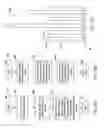 Fig. 13 - Signal noise reduction for imaging in biological analysis