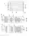 Fig. 14 - Signal noise reduction for imaging in biological analysis