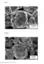 Fig. 05 - Electrode active material for lithium secondary battery