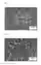 Fig. 06 - Electrode active material for lithium secondary battery