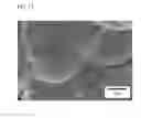 Fig. 08 - Electrode active material for lithium secondary battery