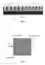 Fig. 02 - Multiplexed output two terminal photodiode array for imaging applications and related fabrication process