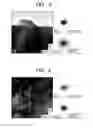 Fig. 04 - FERROELECTRIC THIN FILM