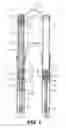 Fig. 02 - Spring suspension for a handlebar-steered vehicle