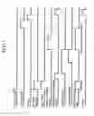 Fig. 19 - Sheet finishing apparatus and control method