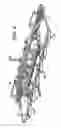 Fig. 07 - Turf groomer