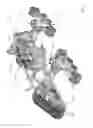 Fig. 09 - Anti-torque system for a traction assembly