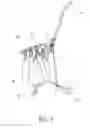 Fig. 07 - COLLAPSIBLE TROLLEY