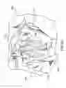 Fig. 20 - Passive airbag venting