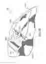 Fig. 23 - Passive airbag venting