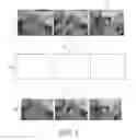 Fig. 04 - IMAGE PROCESSING