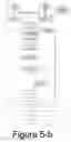 Fig. 07 - Red-eye filter method and apparatus