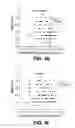 Fig. 06 - Diagnostic method and apparatus for predicting potential preserved visual acuity