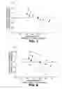 Fig. 09 - Diagnostic method and apparatus for predicting potential preserved visual acuity