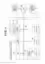 Fig. 02 - Eye portion diagnosis support apparatus, method therefor, program, and recording medium