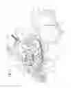 Fig. 02 - Disc device