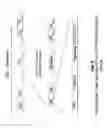 Fig. 07 - Deferred access method for uplink packet channel