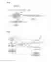Fig. 04 - LIGHT SOURCE, LIGHT SOURCE DEVICE, LASER IMAGE FORMING DEVICE AND INTEGRATED CIRCUIT