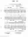Fig. 16 - VIDEO DATA COMPRESSION APPARATUS AND METHOD OF SAME