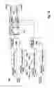 Fig. 18 - Method and apparatus for multi-antenna transmission in uplink