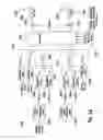 Fig. 26 - Method and apparatus for multi-antenna transmission in uplink