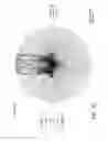 Fig. 10 - Multi-feed diversity receive system and method