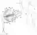 Fig. 01 - Miniaturized receiver assembly for in-ear noise-isolating earphones
